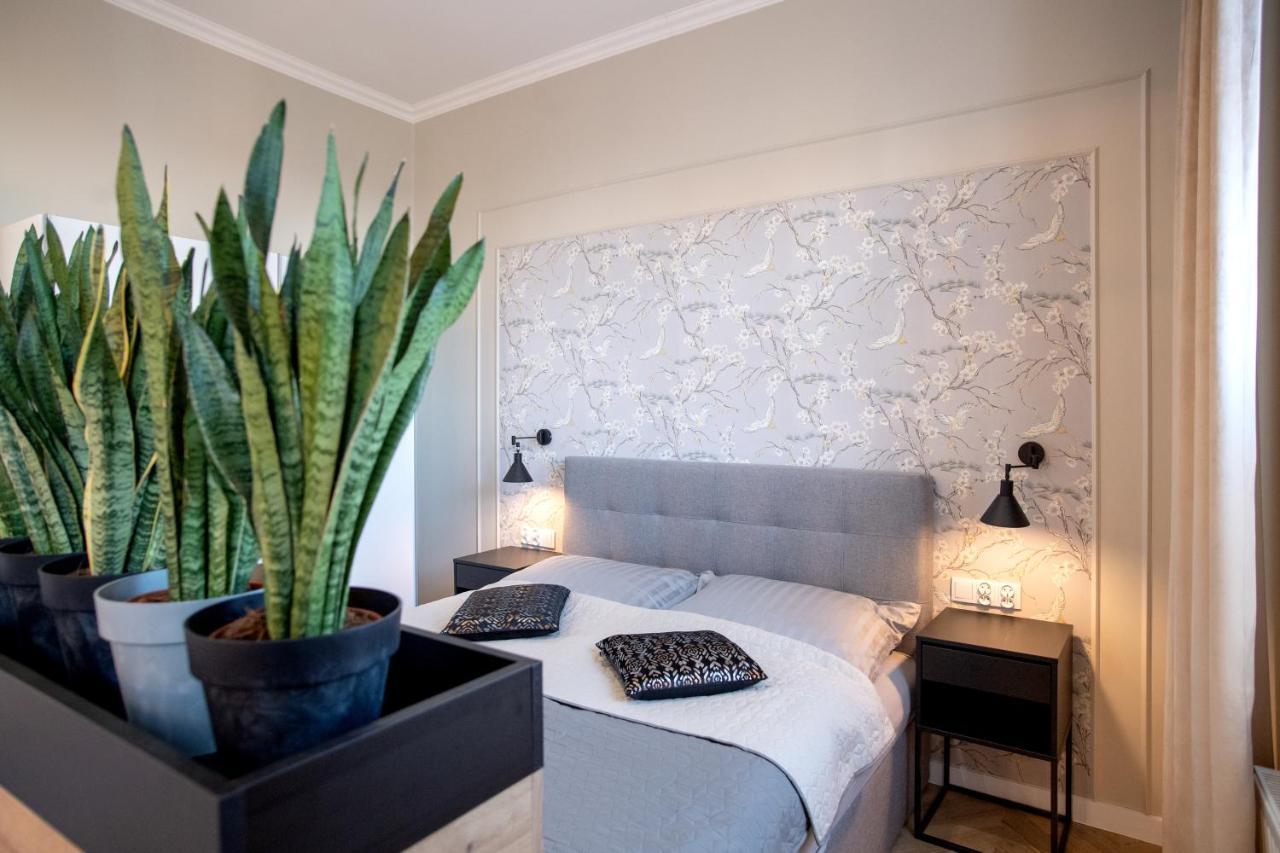 Apartament Rynek 12 كوشتيجينا المظهر الخارجي الصورة